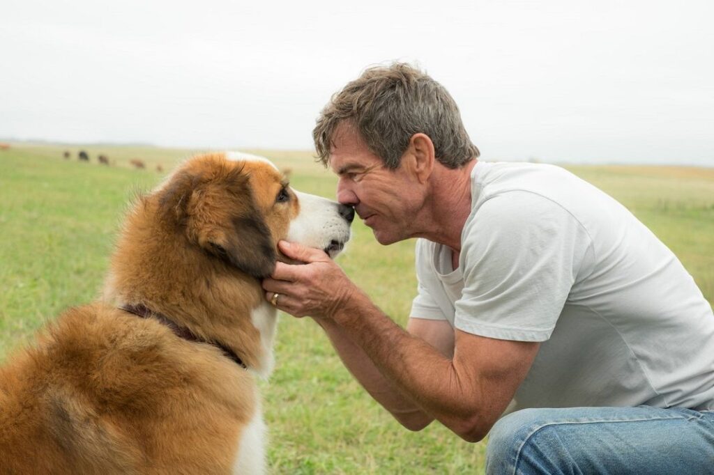 Tu mejor amigo