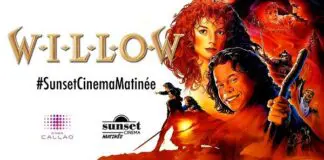 Willow