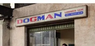 la Película Dogman