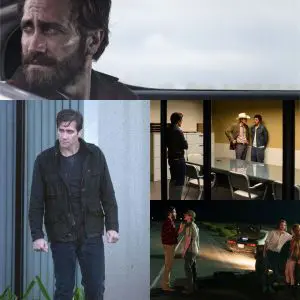 Nocturnal Animals
