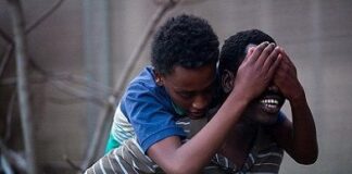 cortometrajes en la Sección Oficial Seminci 2018