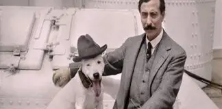 El Amor y la Muerte