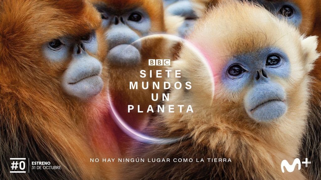 Siete mundos un planeta