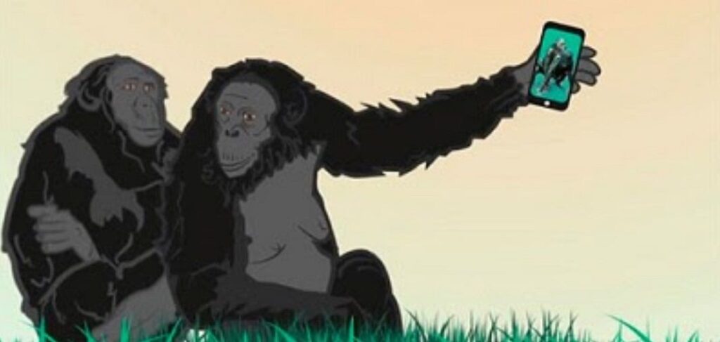 IV Edición Premios Bonobo