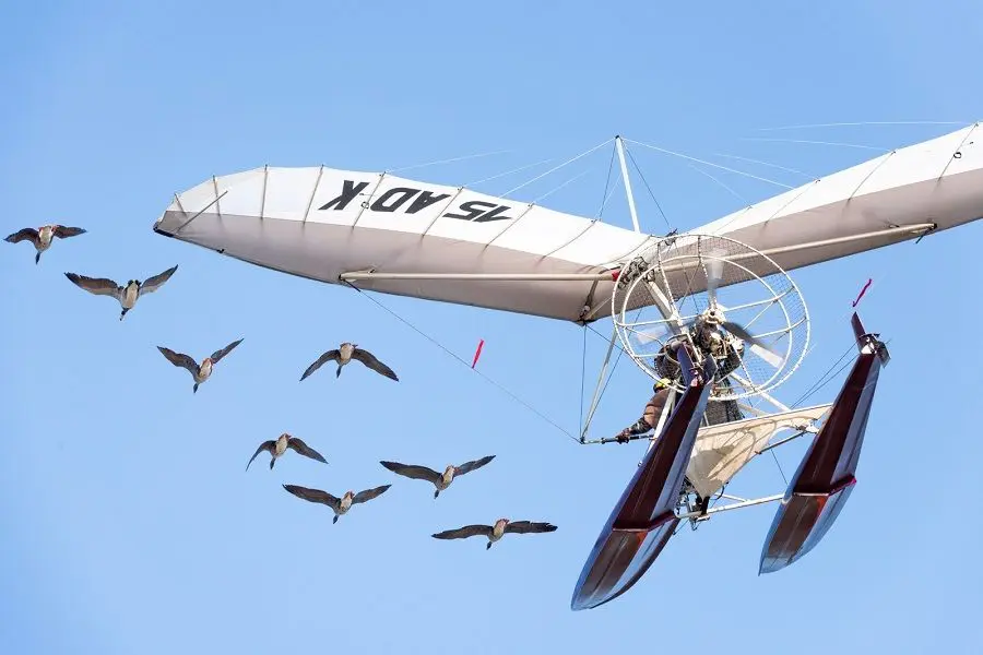 Volando juntos