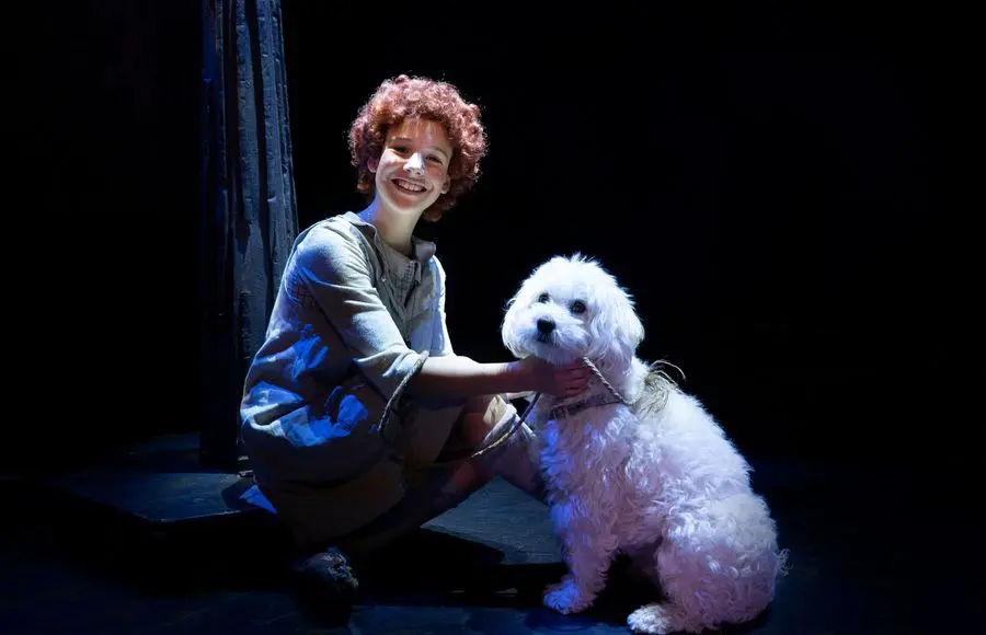 Annie el musical