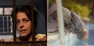 Tercera Jornada del Festival de Sitges 2020