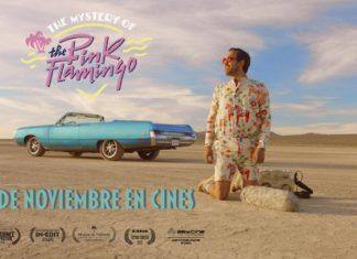 portada de the mystery of the pink flamingo
