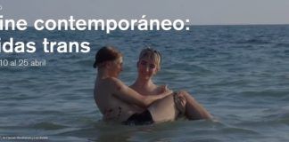 Vidas trans