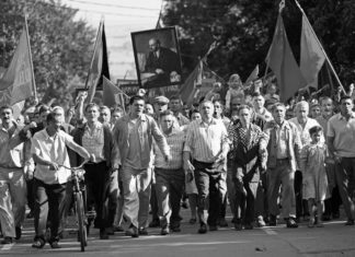 Queridos Camaradas