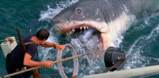 Tiburón
