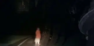 Dashcam
