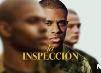La inspección