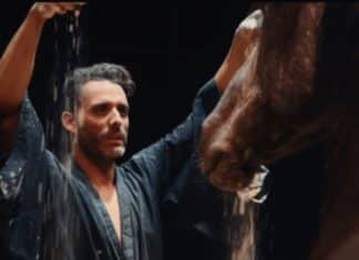 El caballo Español, el origen