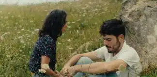 Notas sobre un verano