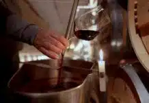 Rioja, la tierra de los mil vinos