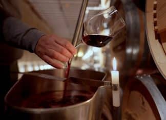 Rioja, la tierra de los mil vinos