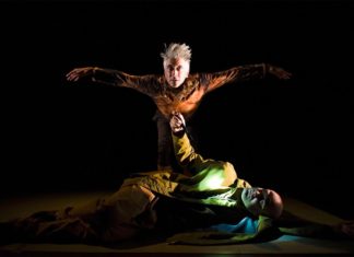Búho en Teatro de la Abadía