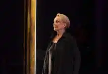 El corazón del daño