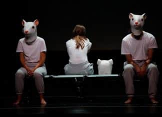 Contención mecánica en 41 Festival de Otoño