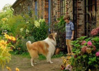 Lassie (Una nueva aventura)