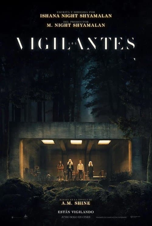 Los Vigilantes poster