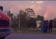 Caigan las rosas blancas película