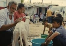Ciudad sin sueño película
