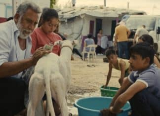 Ciudad sin sueño película