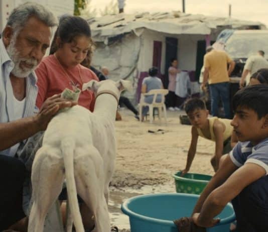 Ciudad sin sueño película