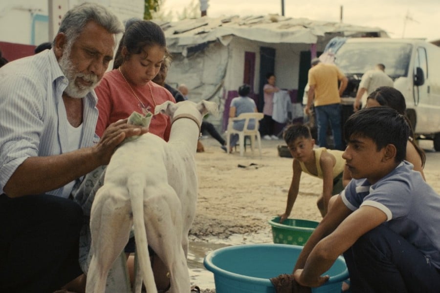 Ciudad sin sueño película