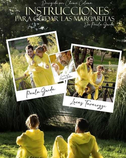 Instrucciones para cuidar las margaritas