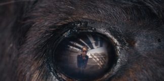 Animale película
