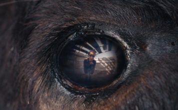 Animale película