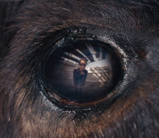 Animale película