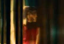 El anticuario película