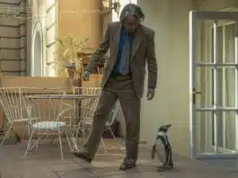 Lo que aprendí de mi pingüino