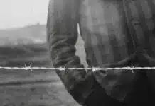 Lo que encontraron documental
