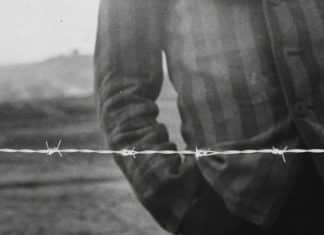 Lo que encontraron documental