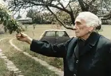 Dolores Ibárruri Pasionaria