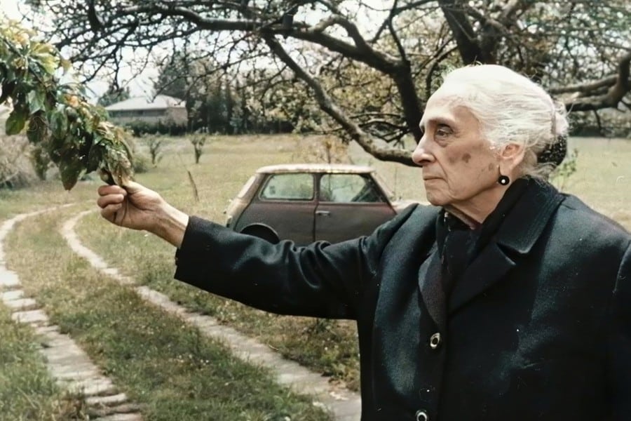 Dolores Ibárruri Pasionaria