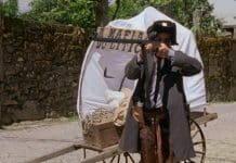 La sabana y la montaña