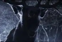 "Bambi: La venganza": Infancia podrida Bambi La venganza película