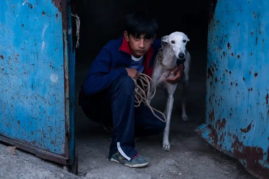 Ciudad sin sueño Ciudad sin sueño