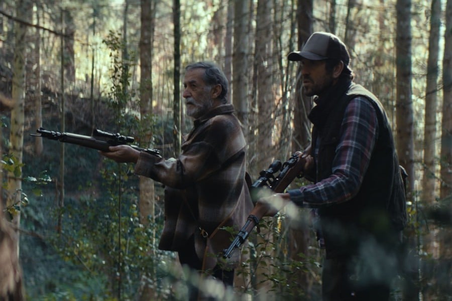 Donde se quejan los pinos