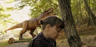 Kontinental '25 película