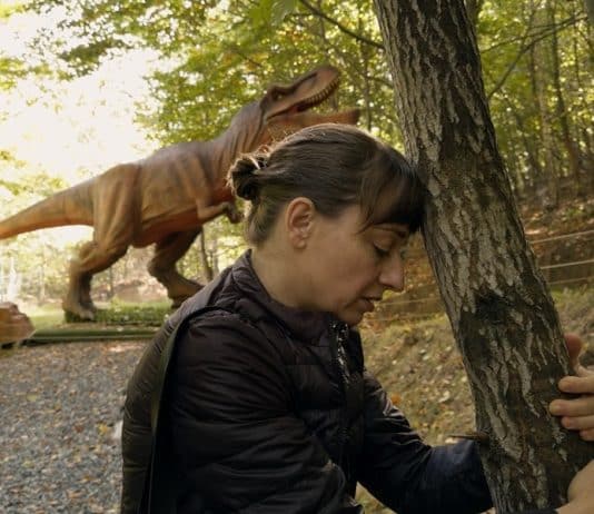 Kontinental '25 película