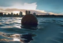 "Weser": La boya inmortal Weser