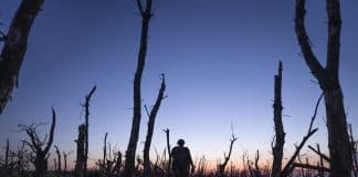 2000 metros hasta Andriivka