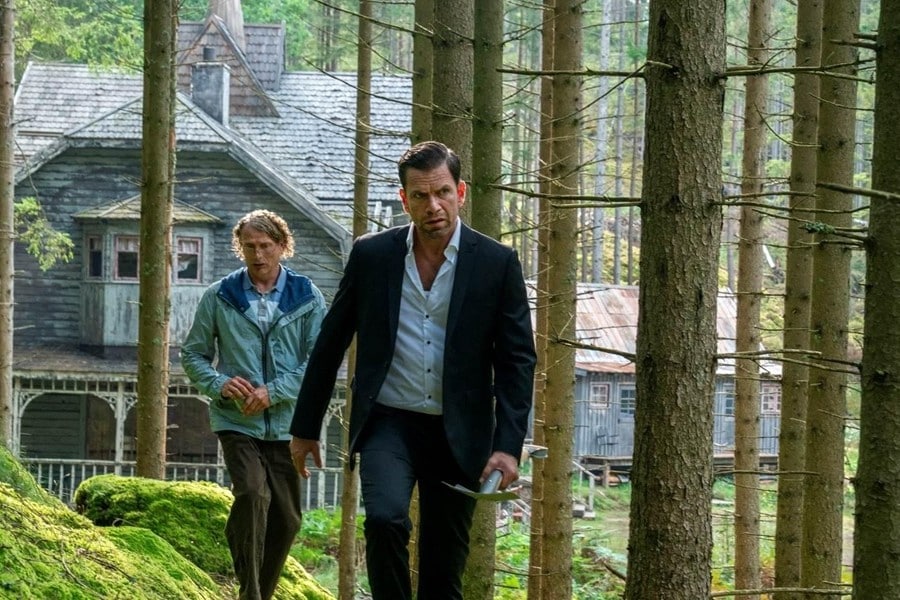 El último vikingo El último vikingo